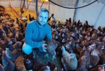 653709349 10234017142156880 1004486267499788922 n