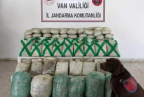 Ekran goruntusu 2026 03 09 104930