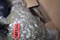 ISTANBUL KUCUKCEKMECEDE OPERASYONDA 52 1217389 362014