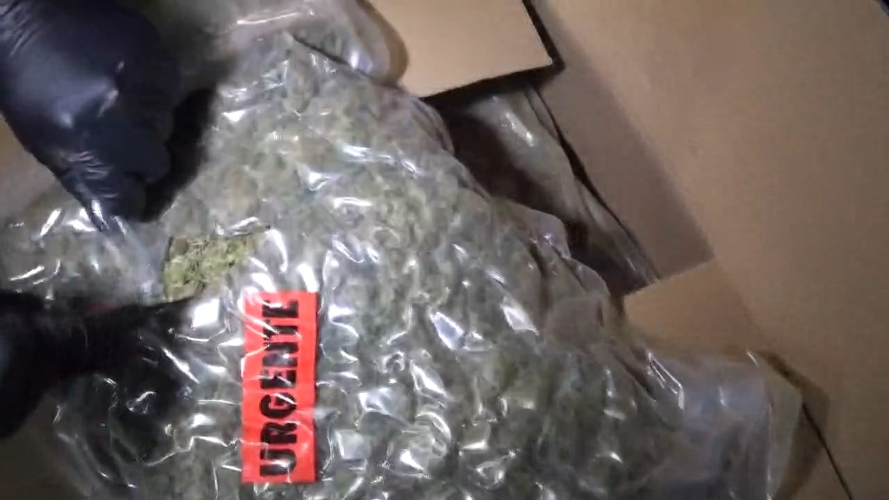 ISTANBUL KUCUKCEKMECEDE OPERASYONDA 52 1217389 362014