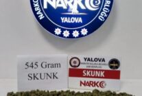 WhatsApp Image 2026 03 09 at 10.17.24