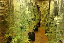 WhatsApp Image 2026 03 15 at 18.01.54 1 1