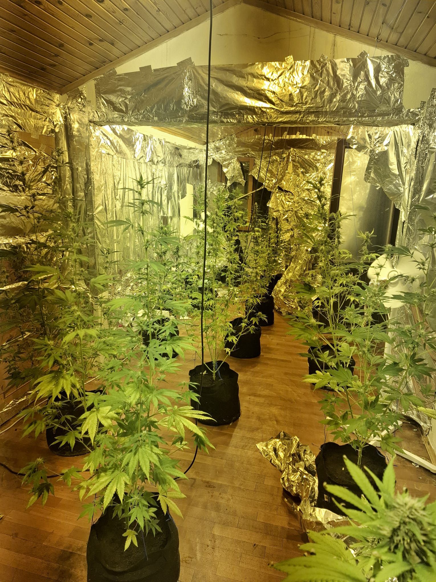 WhatsApp Image 2026 03 15 at 18.01.54 1 1