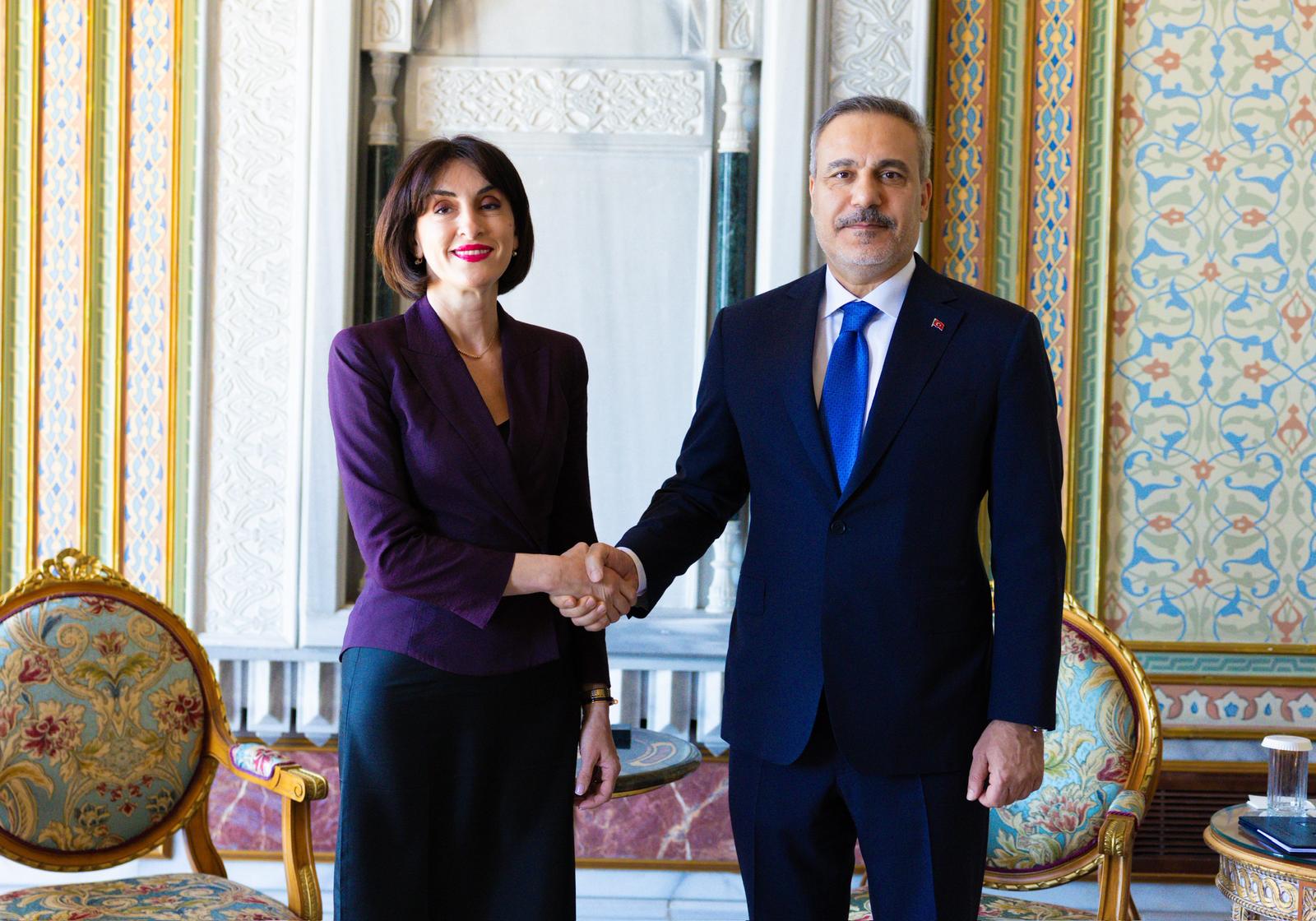 BAKAN FIDAN GURCISTAN BASBAKAN YARDIMCIS 1351733 401374