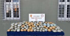 MSB VAN HUDUT HATTINDA 290 KILO UYUSTUR 1360664 404000